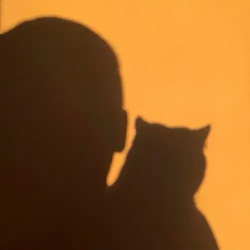  情侣头像情头喜欢一个人就去表白万一成了备胎呢