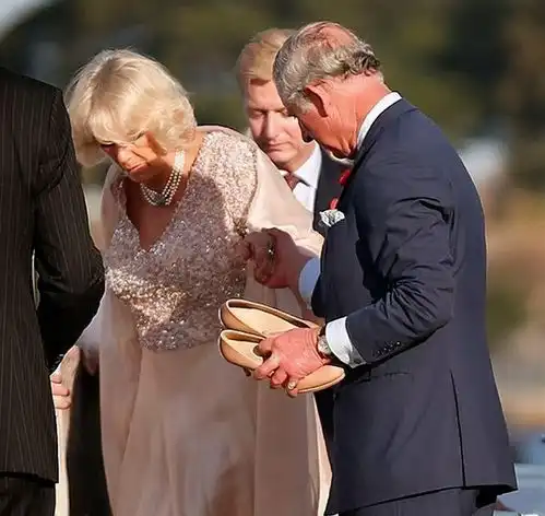  戴安娜也不傻,离婚时一招断了卡米拉后路,让她17年都是公爵夫人