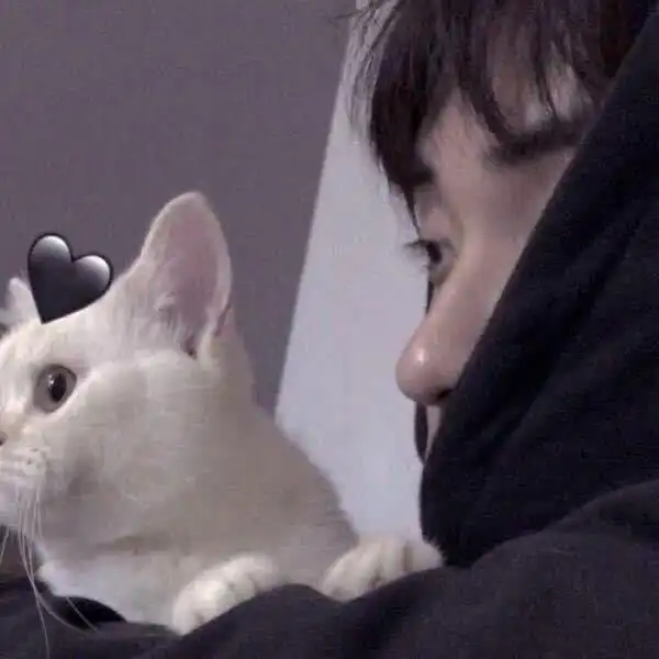  ins超火情侣头像,不仅低调还有内涵,一般人真看不出来有对象