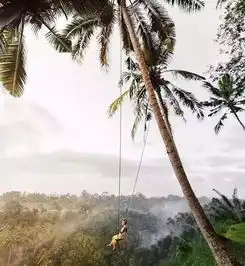  这辈子,一定要去一次巴厘岛