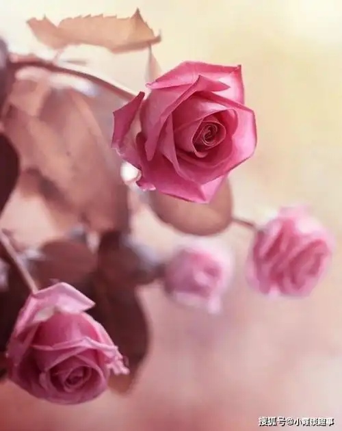  深刻睿智的个性签名,句句经典,总有一句适合你