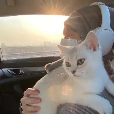  抱萌宠的男生头像,都说爱宠物的男生最有爱