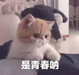  定格瞬间寝室映像活动通知