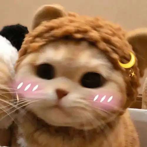  在这飘零的季节与你相遇