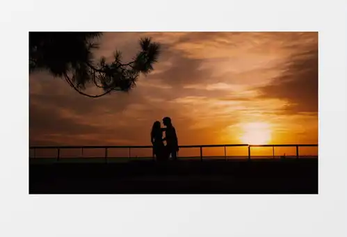  浪漫情侣日落黄昏晚霞海边拥抱实拍视频素材下载mp4格式熊猫办公