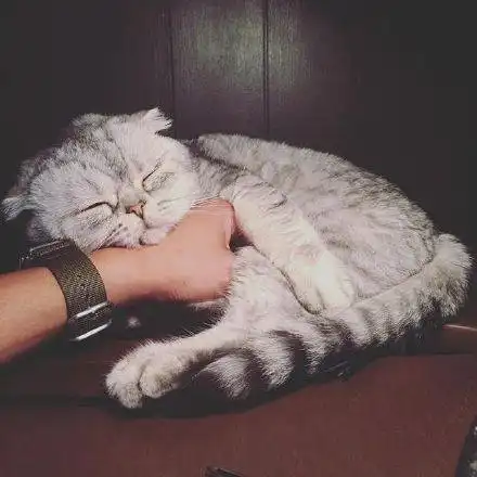  日韩欧美男女堆糖,美好生活研究所