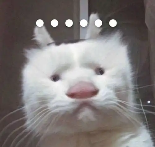  巨丑巨便宜巨好用的护肤护发老国货知知都知道