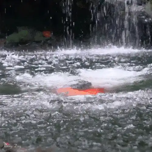  完美的夏天2马天宇深潭跳水,海上冲浪解锁新技能