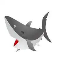  鲨鱼头像图片大全大图微信头像图片大全