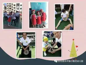  小精灵幼儿园六一系列活动之美食分享活动