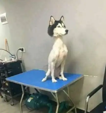  没事别把自己衣服借给室友穿,否则就再也撑不起来了,我太自卑了