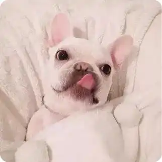  朋友给的撩妹大法,让我成功约到了女神走上人生巅峰