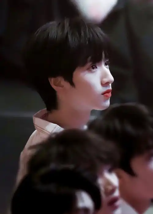  tnt贤内助的茶话会之甜甜的日常生活聊天文学体