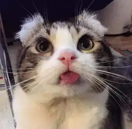  有哪些可以保持每天好心情的办法