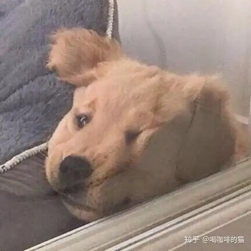  电竞酒店情侣干羞羞的事情真的好吗