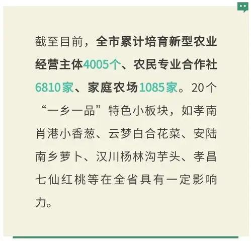  产业织锦绣沃野土生金我市推进乡村振兴三项行动之实力产业篇