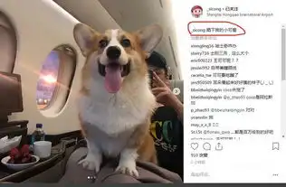  王思聪疑坐实新恋情目前这位颜值身材均在线