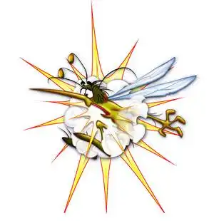  校会秘籍防虫八式