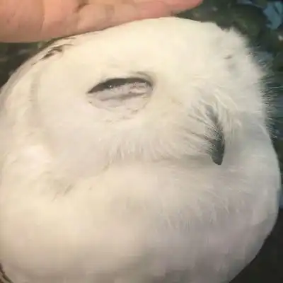  简单情侣头像微信专用一男一女简约干净情侣头像