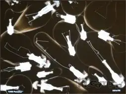  旋彩轮的魅力东芝t90完全评测体验