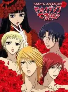  完美小姐进化论