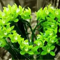  爸爸微信头像风景微信头像图片大全