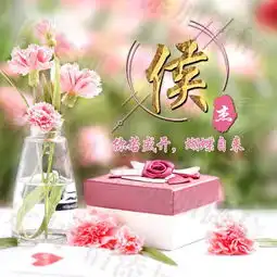  姓氏头像签名壁纸,温馨花语时光礼物,一共18款