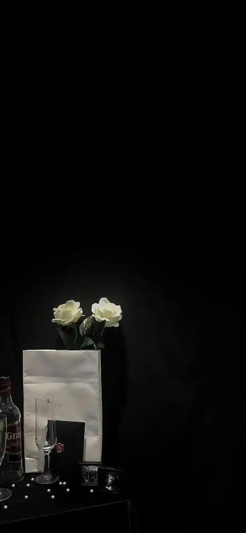  高级壁纸youaretheonlyexception