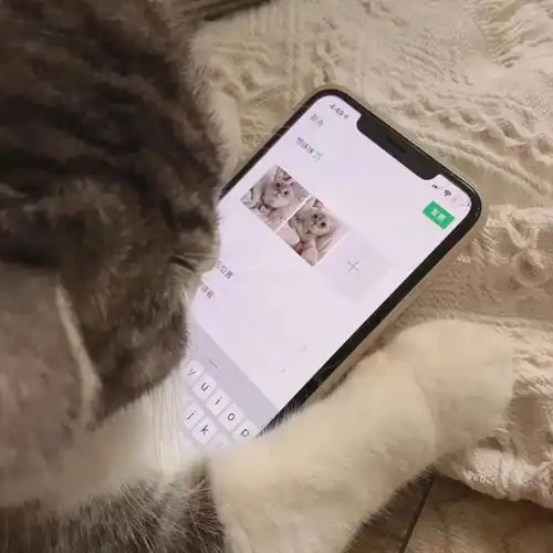  情头丨在这炎热的夏天恋爱要趁早