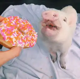  一波可爱不失个性的朋友圈背景图少女感满满的背景图