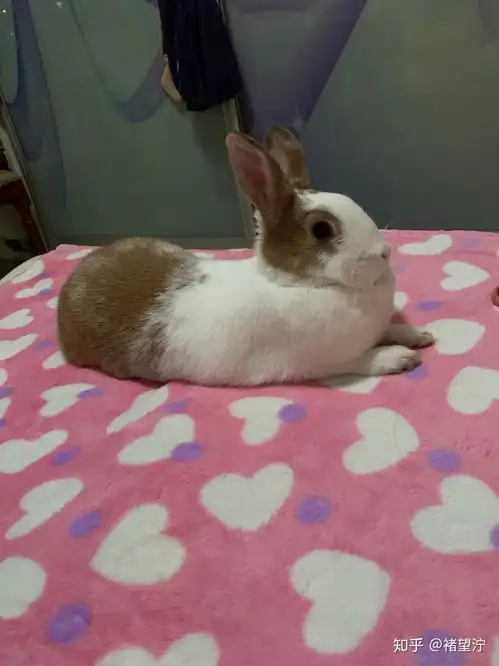  治愈微笑的表情