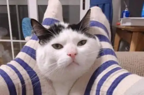  每日一笑跟女朋友吵架,她你想怎样我我还想再忍个几十年