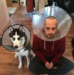  国外主人们模仿宠物狗的表情真的太像了