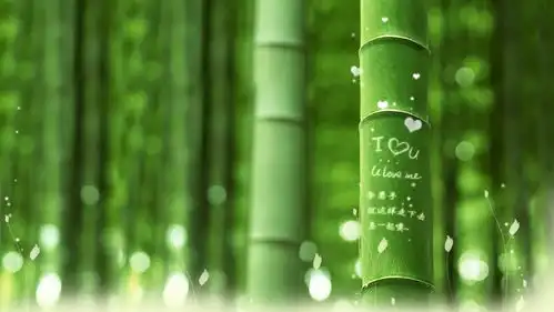  王跃博公司做小,用户做大,创业者必看