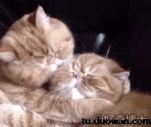  说好的只亲亲呢