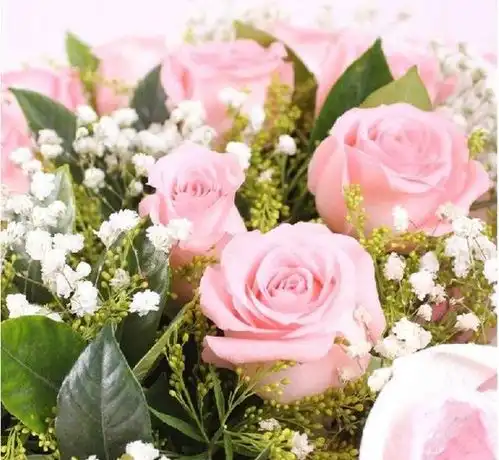  你中招了吗十有九准属虎的命里最苦的出生月份