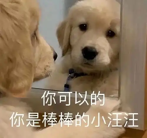  公认寿命长的3种狗和寿命短3种狗,你养错了