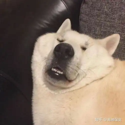  b站舞蹈区的跳舞小姐姐是为了诱惑男生吗