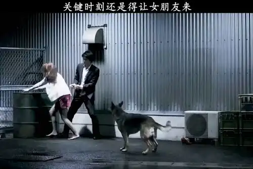  情侣约会,不了被狗狗打扰,女子发飙,把狗狗都吓跑了搞笑情侣