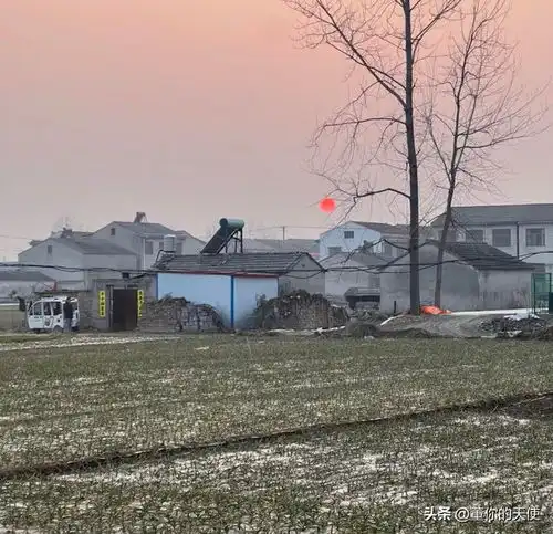  从姥姥家回来后,我又带着母亲去了小姨家,却只在门口站着没进去