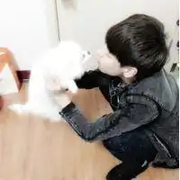  你可以帮我弄下吗