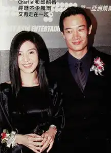  王菲谢霆锋袁泉夏雨郑秀文许志安分手又复合吃回头草的情侣