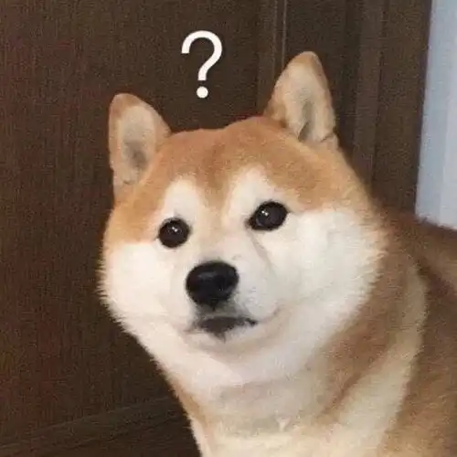  从来没想到过在网易云歌曲的评论区被人杠了