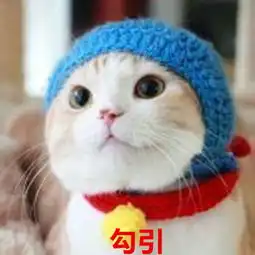  猫咪头像带勾引俩个字的是情侣头像吗