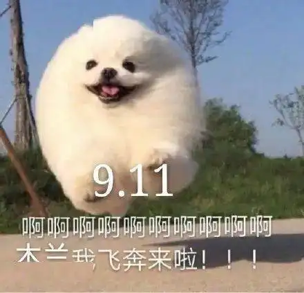  预售花木兰木兰花开,不负期待大银幕