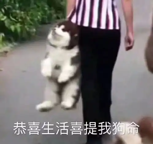  2020年丹棱第一批穷人名单新鲜出炉看到最后都哭了