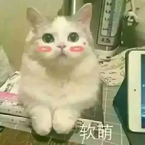  多肉小白和大神的距离,可能就是因为差了这些