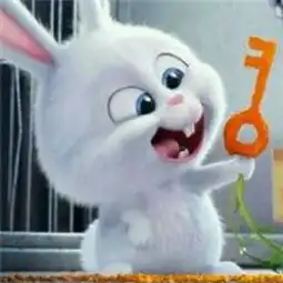  这个兔兔是那个动画里面的