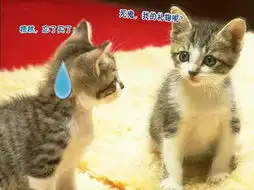  麦琪的礼物圣诞节情侣专用mp3大推荐