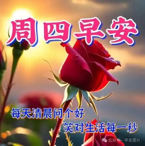  2024年6月20日周四早安图片祝福语,试着不为明天而烦恼,不为昨天而叹息,只为今天更美好周四早安周四早安如花快乐早上好清晨祝福语手机网易网